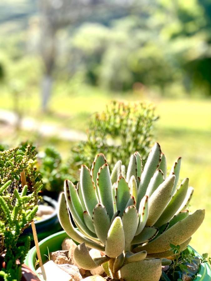 Recanto Roca Grande Cunha Exteriér fotografie